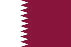 卡塔尔 队徽